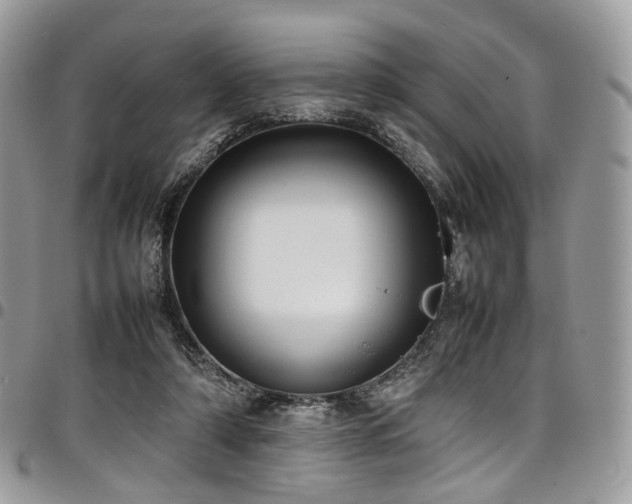 X0000098020306200803281340