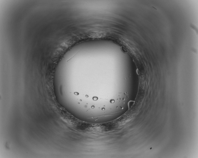 X0000098020307200803281340