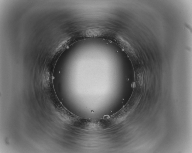 X0000098020308200803281340