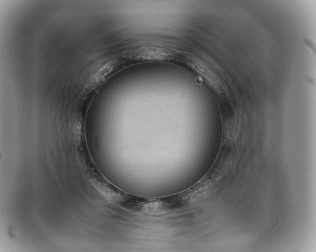 X0000098020309200803281340