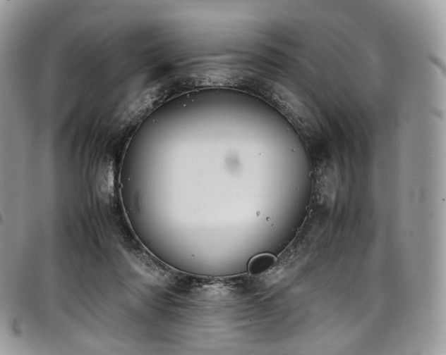 X0000098020310200803281340