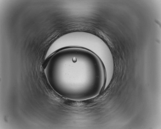 X0000098020313200803281340