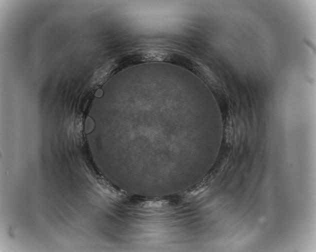 X0000098020314200803281340