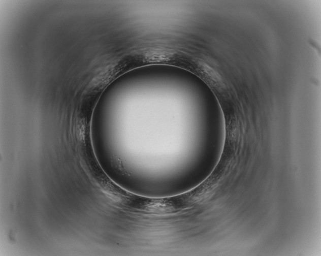 X0000098020315200803281340