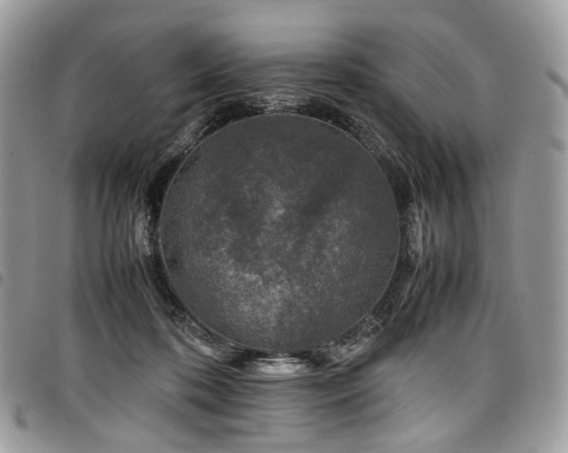 X0000098020316200803281340