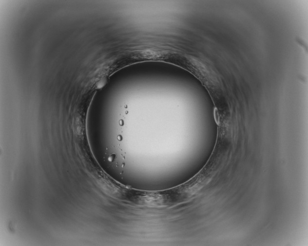 X0000098020317200803281340