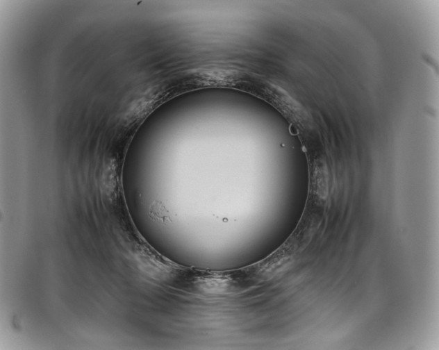 X0000098020318200803281340