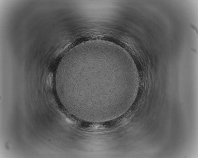 X0000098020319200803281340