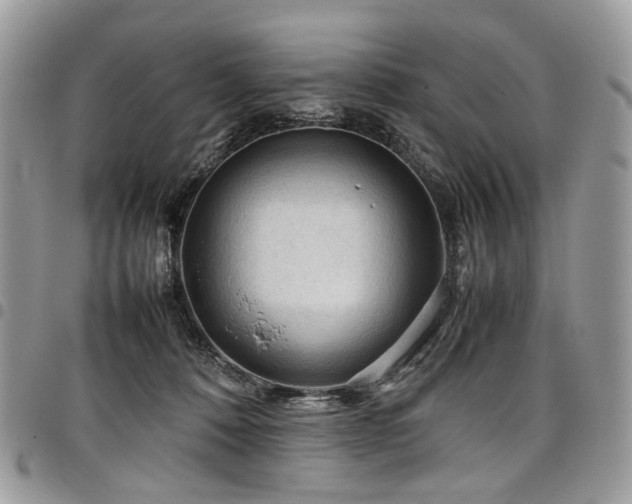 X0000098020320200803281340