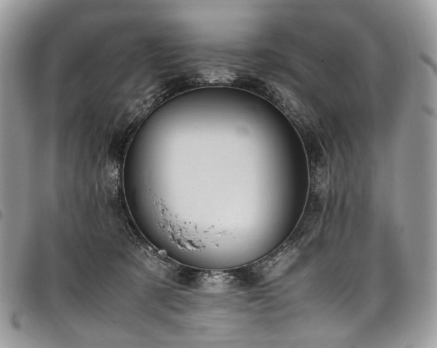 X0000098020321200803281340