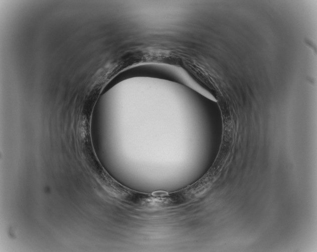 X0000098020323200803281340