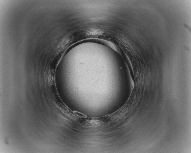 X0000098020324200803281340