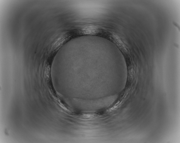 X0000098020325200803281340