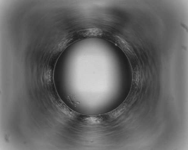 X0000098020326200803281340