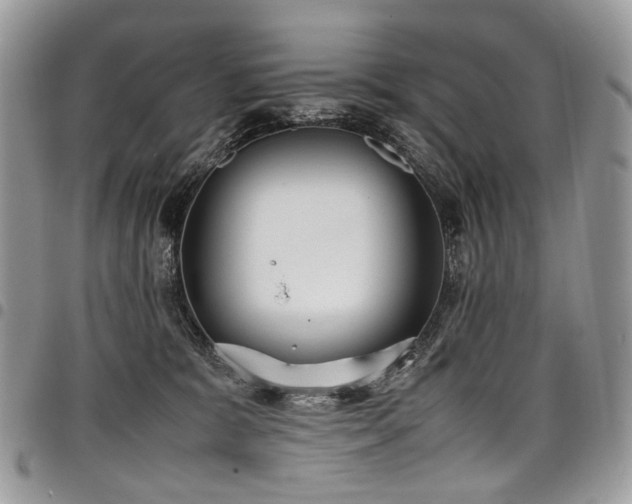 X0000098020327200803281340