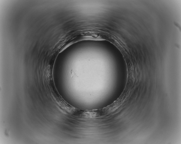 X0000098020328200803281339