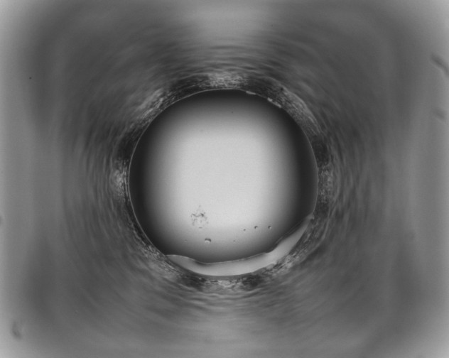 X0000098020329200803281339