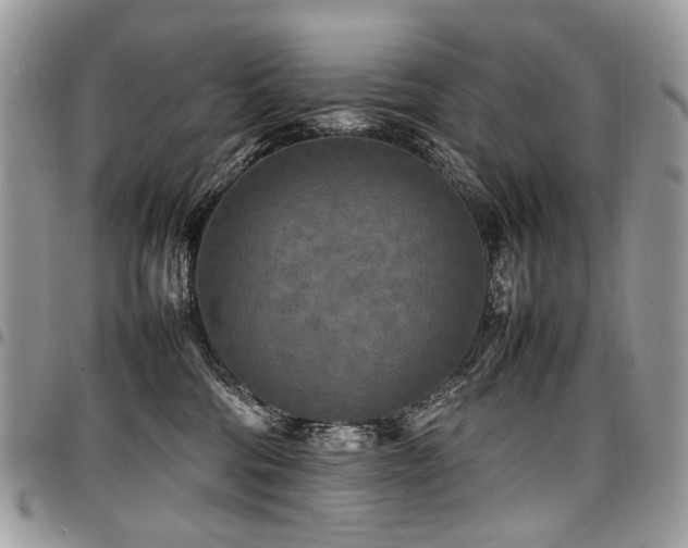 X0000098020330200803281339