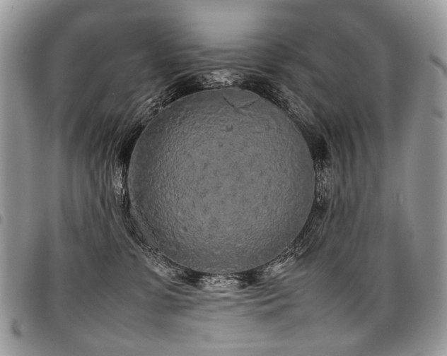 X0000098020331200803281339