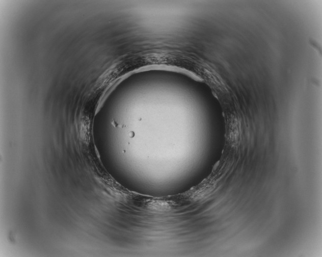 X0000098020332200803281339