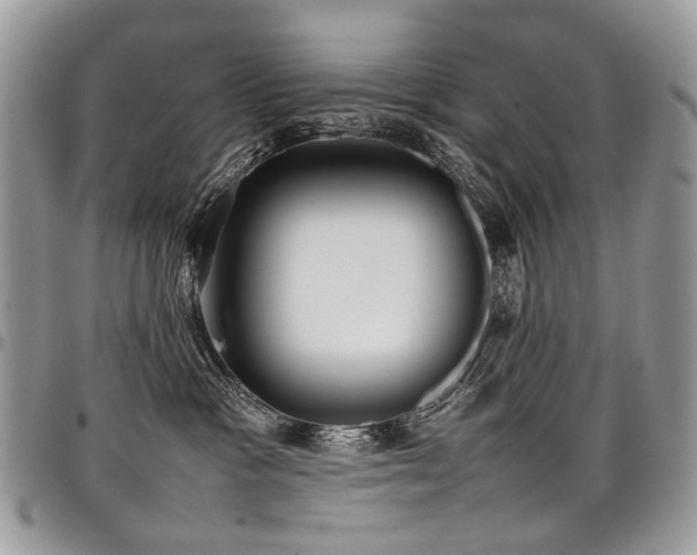 X0000098020333200803281339