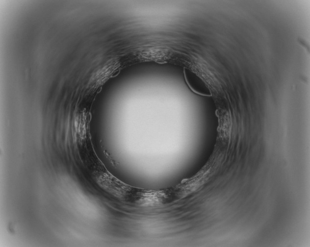 X0000098020334200803281339