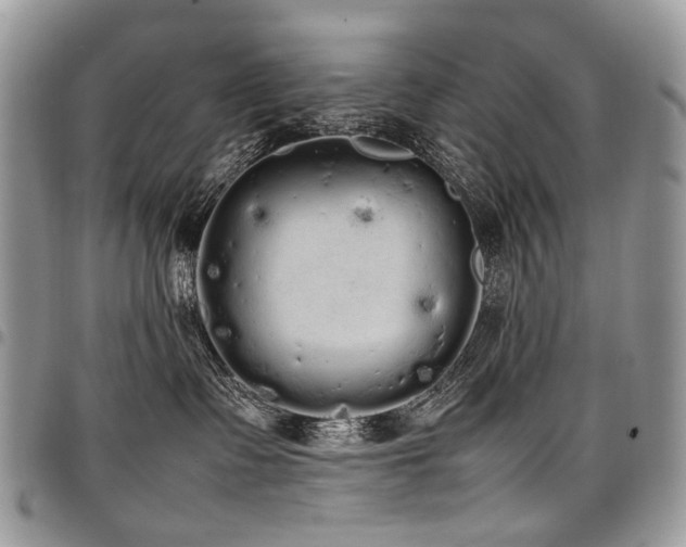 X0000098020335200803281339