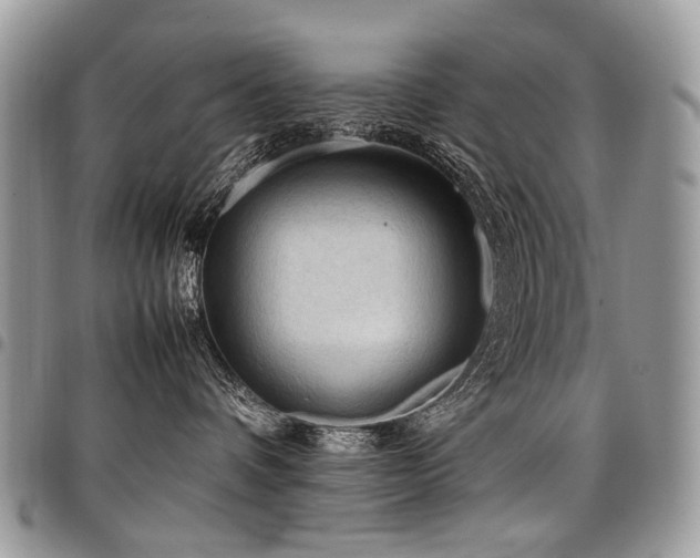 X0000098020336200803281339