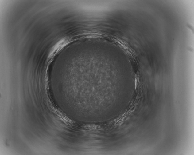 X0000098020339200803281339