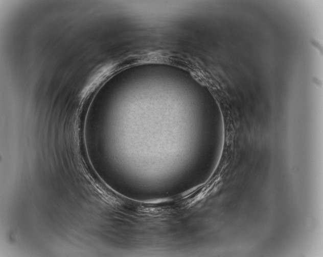 X0000098020341200803281339