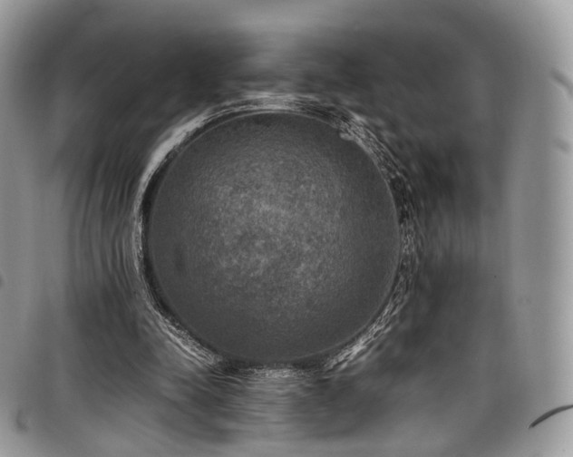 X0000098020342200803281339