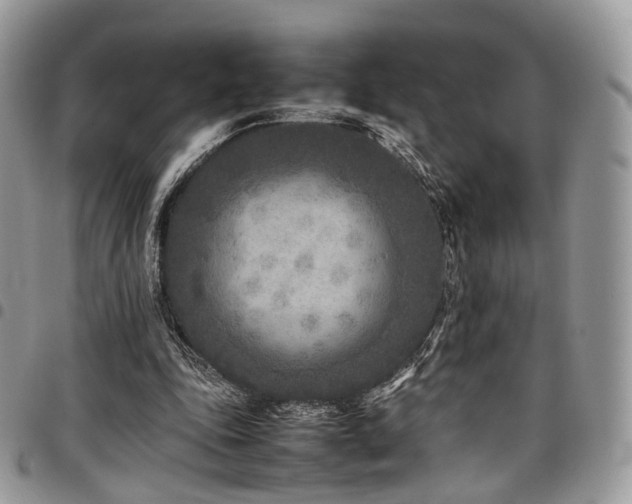 X0000098020343200803281339