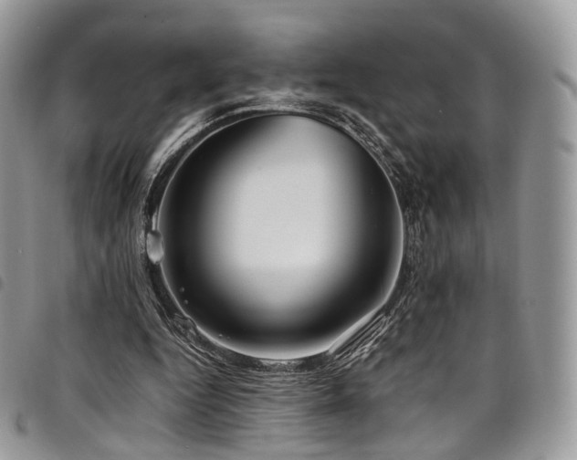 X0000098020344200803281339