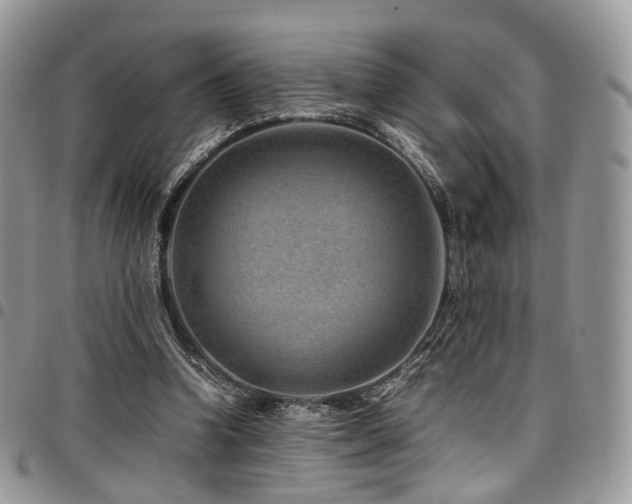 X0000098020346200803281339