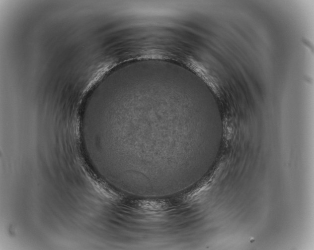 X0000098020347200803281339