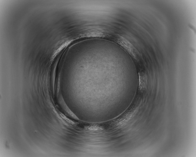 X0000098020348200803281339