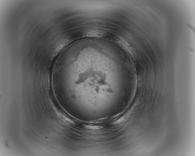 X0000098020349200803281339