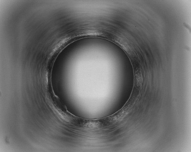 X0000098020350200803281339