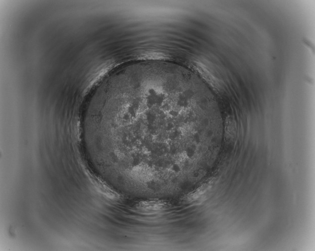 X0000098020351200803281339