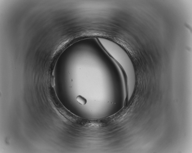 X0000098020352200803281339