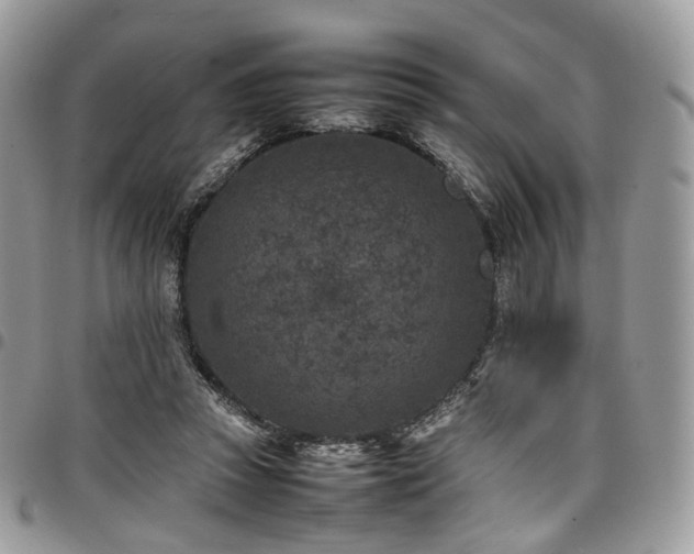 X0000098020353200803281339