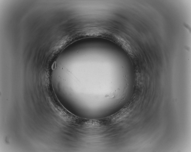 X0000098020354200803281339