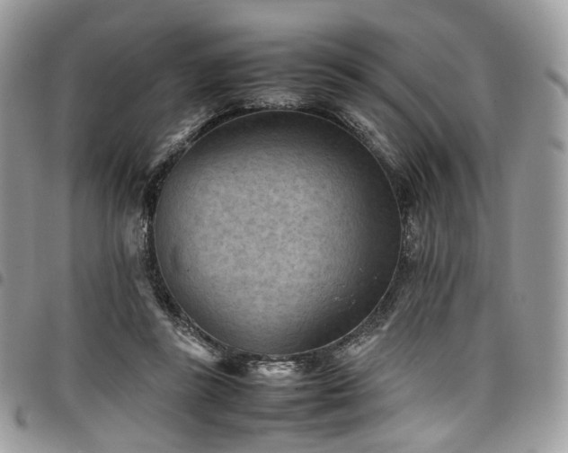 X0000098020355200803281339