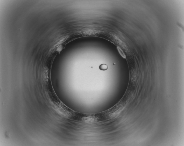 X0000098020356200803281339