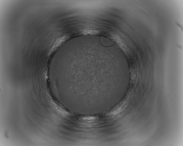 X0000098020357200803281339