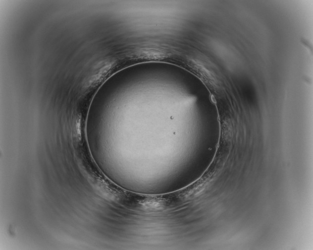 X0000098020358200803281339