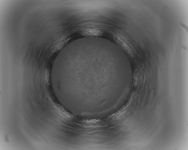 X0000098020359200803281339