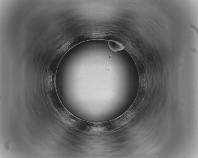 X0000098020360200803281339