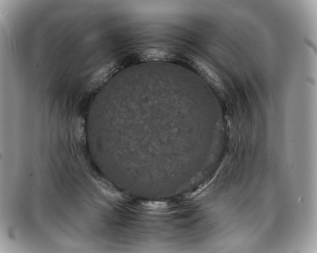 X0000098020361200803281339