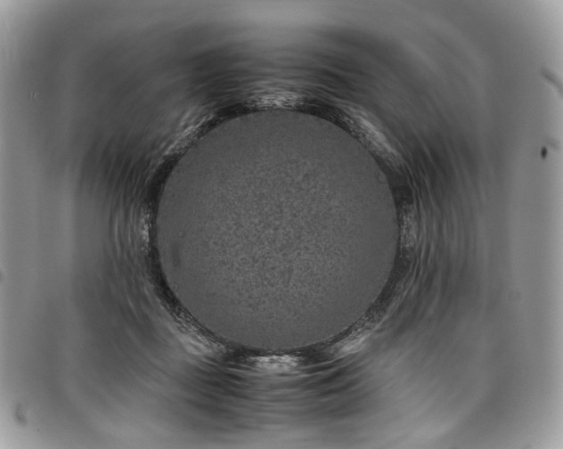 X0000098020363200803281339